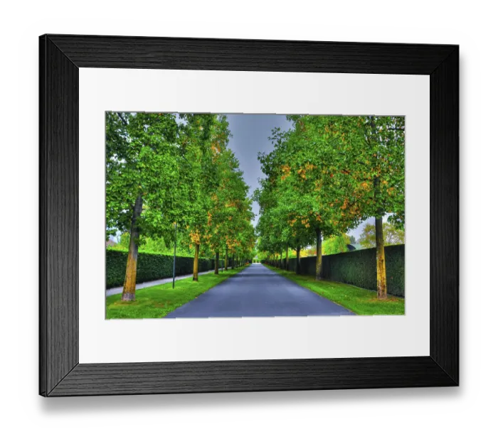 Framed Print : Beautiful Narrow Street with Trees in Ascona Framed Print : Beautiful Narrow Street with Trees in Ascona