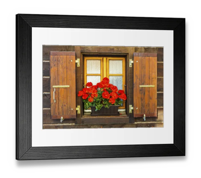 Framed Print : Window with wooden shutters decorated with geraniums (Pelargonium)