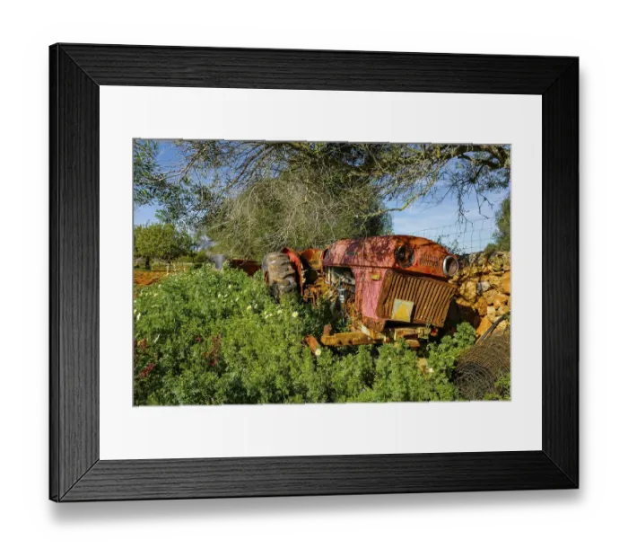 Framed Print : Landscape and nature in February, Majorca, Spain