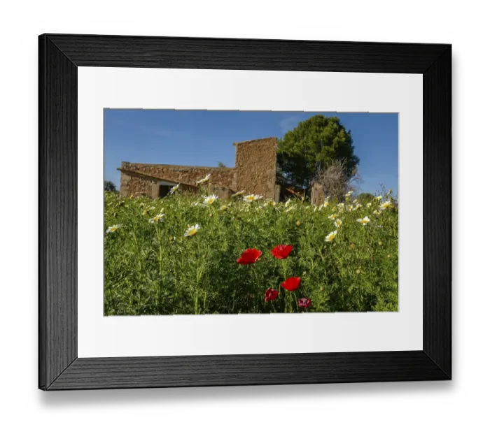 Framed Print : Landscape and nature in February, Majorca, Spain