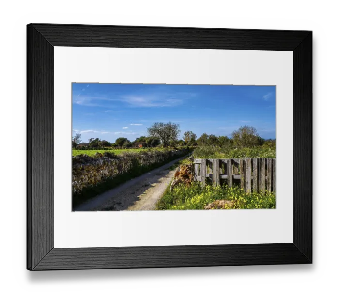 Framed Print : Landscape and nature in February, Majorca, Spain Framed Print : Landscape and nature in February, Majorca, Spain