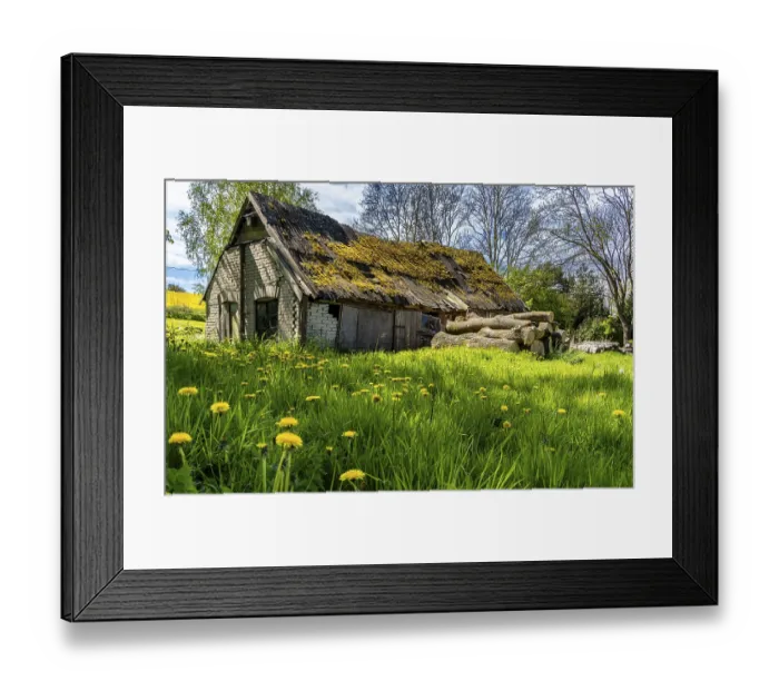Framed Print : Abandoned and derelict farmhouses on undeveloped land in Rugen Framed Print : Abandoned and derelict farmhouses on undeveloped land in Rugen