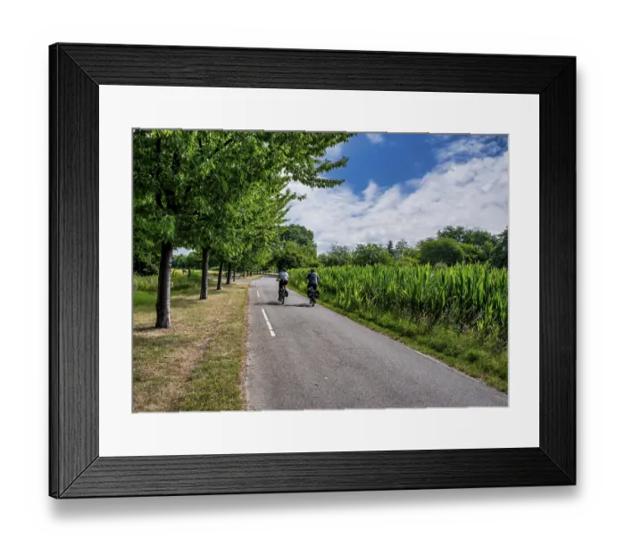 Framed Print : Cyclist on a cycle path between corn fields and trees along the route between Frankfurt am Main and Kelsterbach