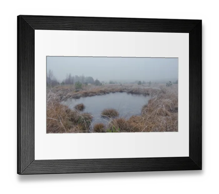 Framed Print : View of a frozen pond in the moor with hoarfrost frozen vegetation