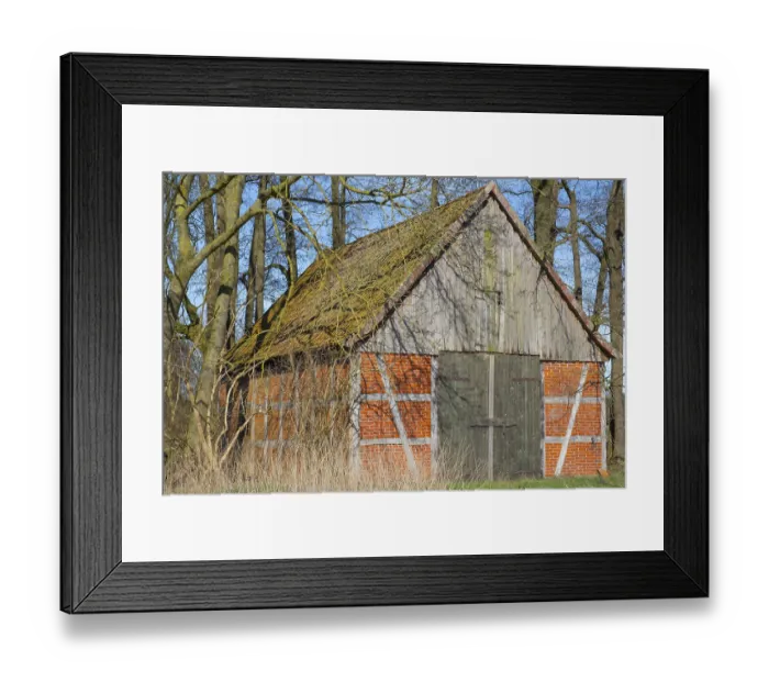 Framed Print : A half-timbered barn stands in a grove Framed Print : A half-timbered barn stands in a grove