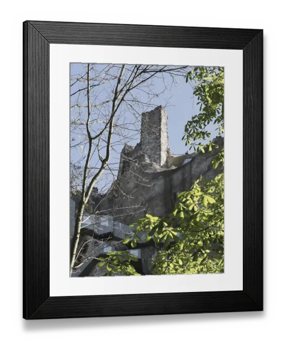 Framed Print : View of the ruins of Drachenfels Castle in Konigswinter