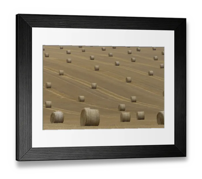Framed Print : Straw or hay bales in a farmland stubble field