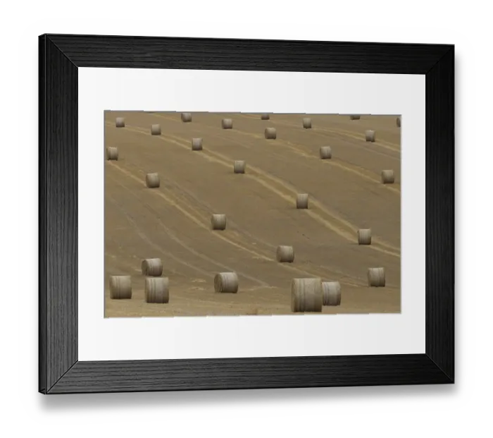 Framed Print : Straw or hay bales in a farmland stubble field
