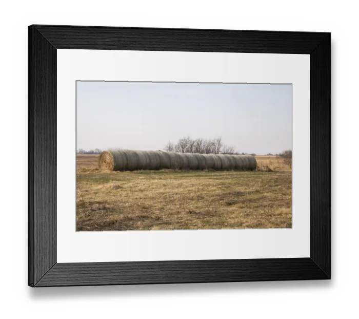 Framed Print : Straw bales in heath landscape Framed Print : Straw bales in heath landscape