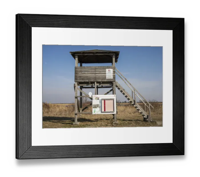 Framed Print : Lookout point, Seewinkel National Park
