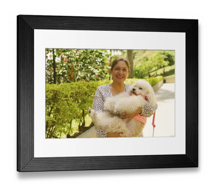 Framed Print : Happy mature woman smiling while holding her small white poodle dog in a sunny park Framed Print : Happy mature woman smiling while holding her small white poodle dog in a sunny park
