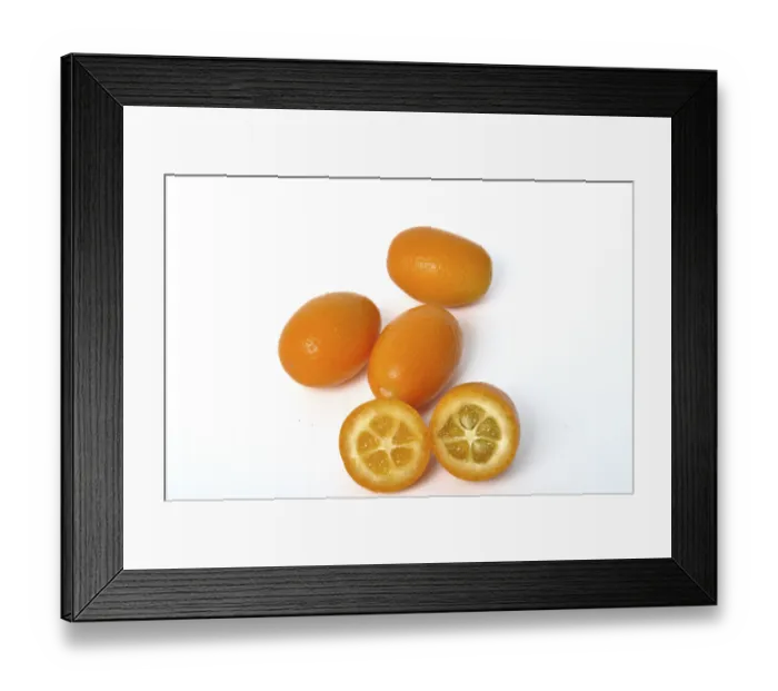 Framed Print : Kumquat on a white background