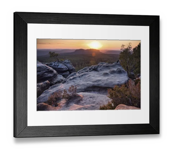 Framed Print : Rock with weathered pine in the sunset