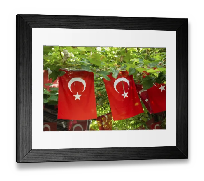 Framed Print : Turkish national flag in open air on a rope