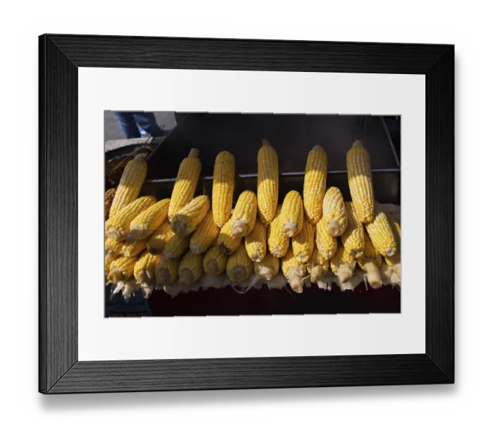 Framed Print : Grains of yellow ripe corn. uncooked corn in view Framed Print : Grains of yellow ripe corn. uncooked corn in view