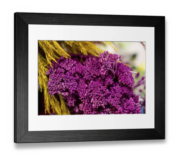 Framed Print : Dyed dry colorful flower for doceration purposes