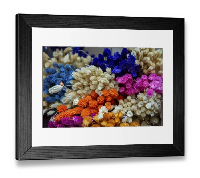 Framed Print : Dyed dry colorful flower for doceration purposes