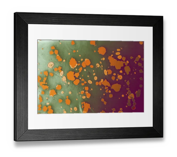 Framed Print : Abstract marbling pattern for fabric Framed Print : Abstract marbling pattern for fabric
