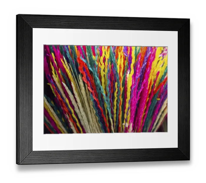 Framed Print : Dyed dry colorful flower for doceration purposes Framed Print : Dyed dry colorful flower for doceration purposes