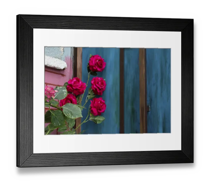 Framed Print : Blooming flowers make a floral background texture