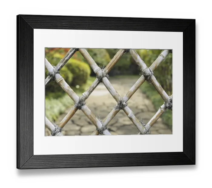Framed Print : Detailed bamboo fence with zen garden behind Framed Print : Detailed bamboo fence with zen garden behind