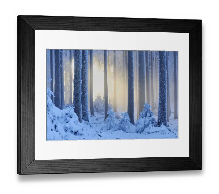 Framed Print : Thick snow-covered winter forest
