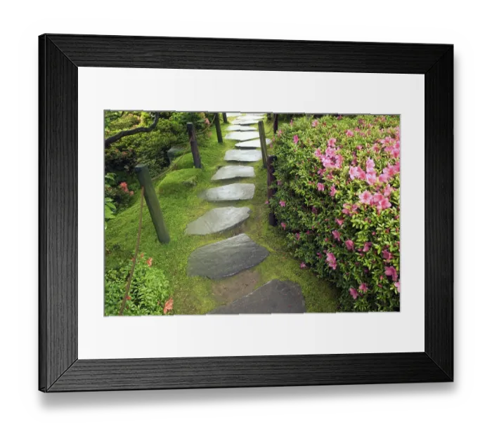 Framed Print : Zen stone pathway in Japanese garden by wet summer day Framed Print : Zen stone pathway in Japanese garden by wet summer day