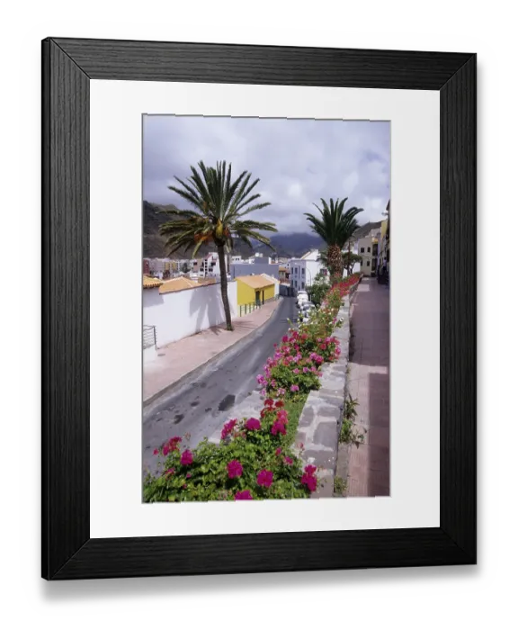 Framed Print : Street with palm trees and flowers Framed Print : Street with palm trees and flowers