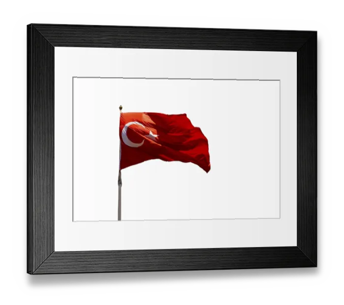 Framed Print : Turkish flags isolated on white backround featuring star and crescent Framed Print : Turkish flags isolated on white backround featuring star and crescent