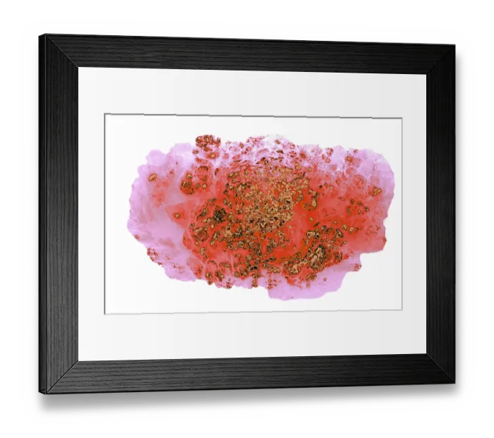 Framed Print : Trendy Design for print, package, decor