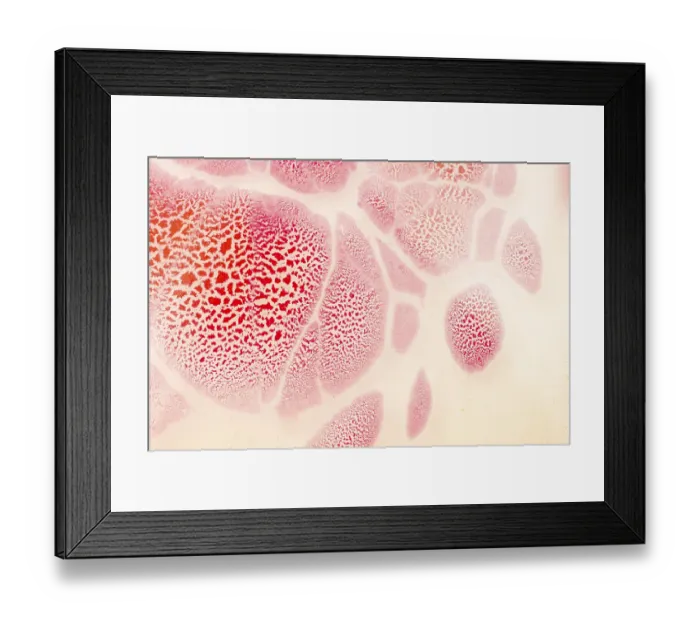 Framed Print : Abstract marbling art patterns in paint as background Framed Print : Abstract marbling art patterns in paint as background