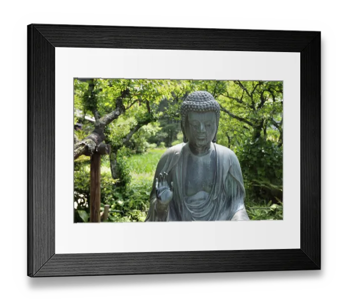 Framed Print : Japanese Buddha statue in zen garden environment in Kamakura