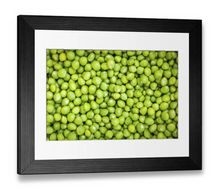 Framed Print : Close-up of fresh green peas (Pisum sativum) lying close together Framed Print : Close-up of fresh green peas (Pisum sativum) lying close together