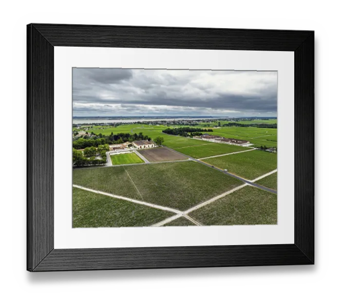 Framed Print : Chateau d'Armailhac Vineyard and grape fields around Pauillac and Gironde Estuary from a drone Framed Print : Chateau d'Armailhac Vineyard and grape fields around Pauillac and Gironde Estuary from a drone