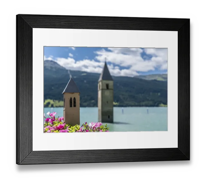 Framed Print : Flowers in front of a sunken church tower in Lake Reschen in South Tyrol