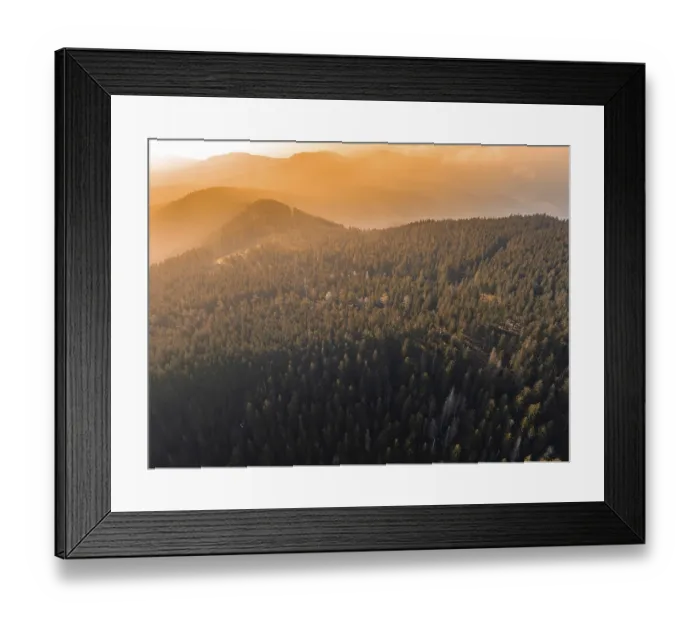 Framed Print : Foggy forest landscape on hills in soft evening light