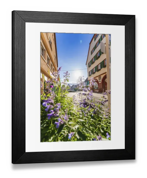 Framed Print : View of a historic street with blossoming flowers in the foreground on a sunny day