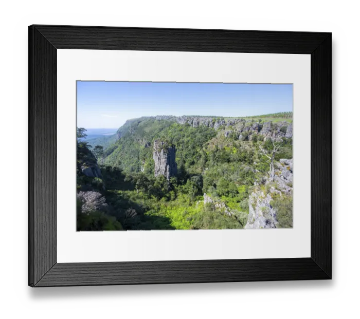 Framed Print : Rock needle in a densely forested canyon