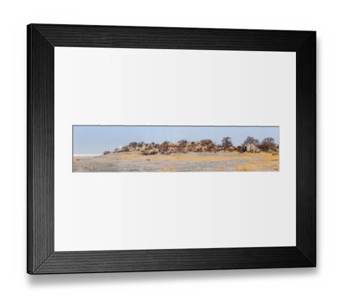 Framed Print : African baobab or baobab tree (Adansonia digitata)