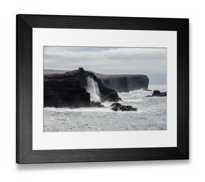 Framed Print : Coast, Galapagos, Ecuador