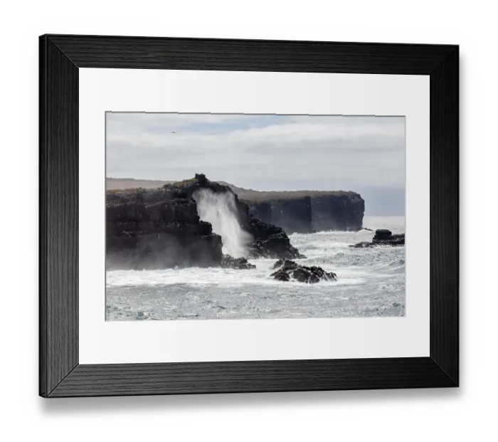 Framed Print : Coast, Galapagos, Ecuador