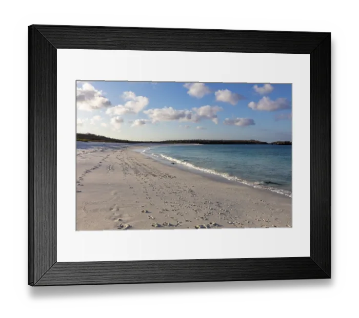 Framed Print : Gardner Bay beach, Isla Espanola Framed Print : Gardner Bay beach, Isla Espanola