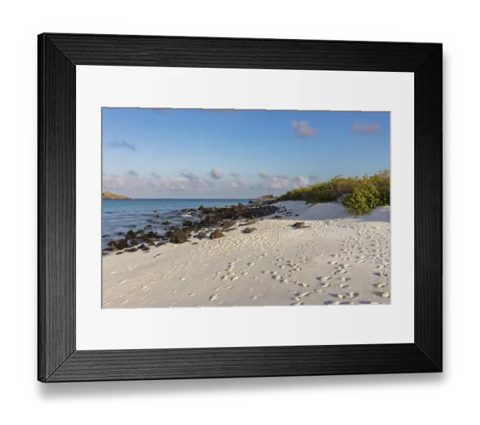 Framed Print : Gardner Bay beach, Isla Espanola Framed Print : Gardner Bay beach, Isla Espanola