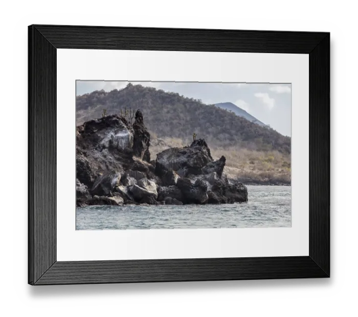 Framed Print : Coast, Galapagos, Ecuador