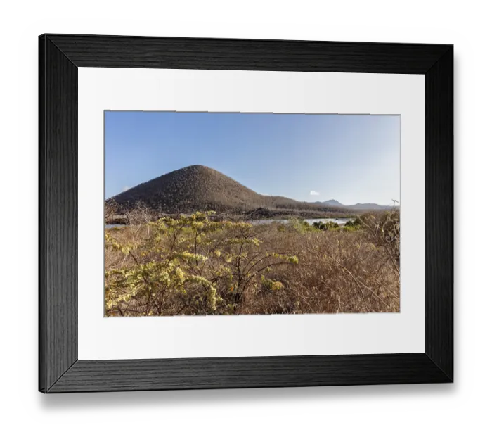 Framed Print : Cormorant Point, Galapagos, Ecuador