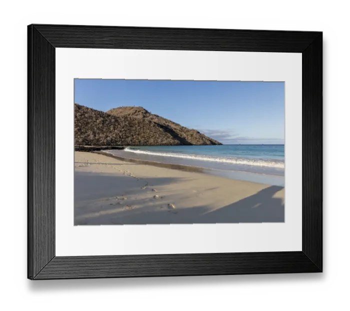 Framed Print : Beach, bay, Cormorant Point, Galapagos, Ecuador