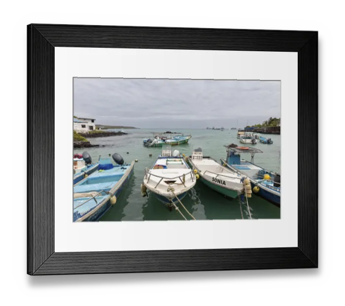 Framed Print : Harbour, Santa Cruz, Galapagos, Ecuador