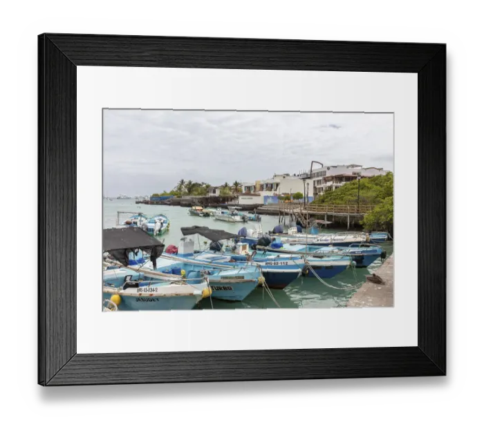 Framed Print : Harbour, Santa Cruz, Galapagos, Ecuador
