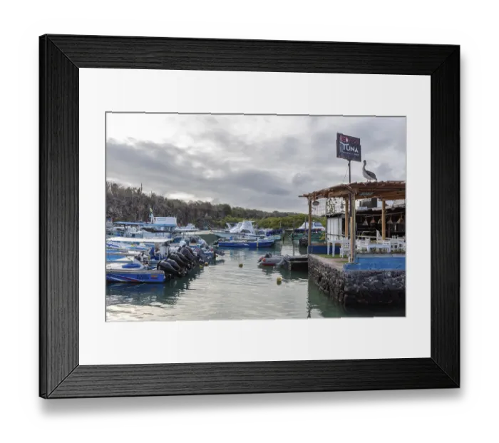 Framed Print : Harbour, Santa Cruz, Galapagos, Ecuador