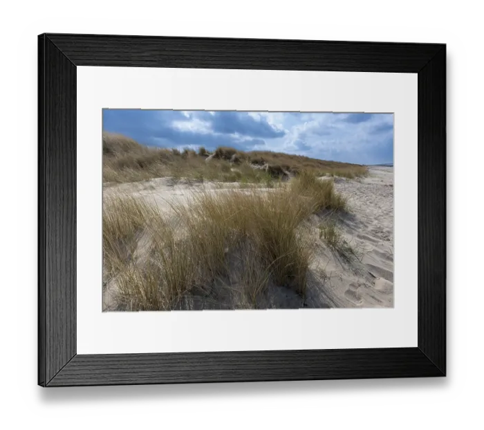 Framed Print : Dunes with grasses, marram grass
